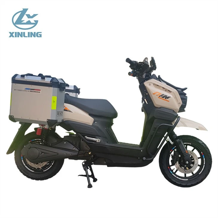 Electric Motorcycle Scooter