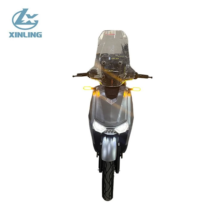 Adult Electric Moped Motorcycle